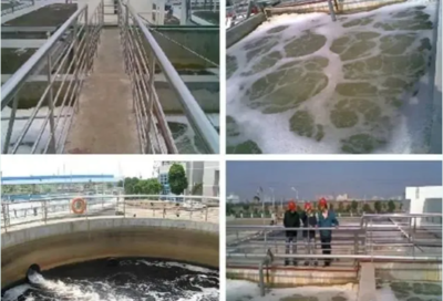 肖羽堂 以技術(shù)先鋒之姿，共繪企業(yè)環(huán)保監(jiān)測(cè)新藍(lán)圖